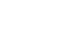 Elsa